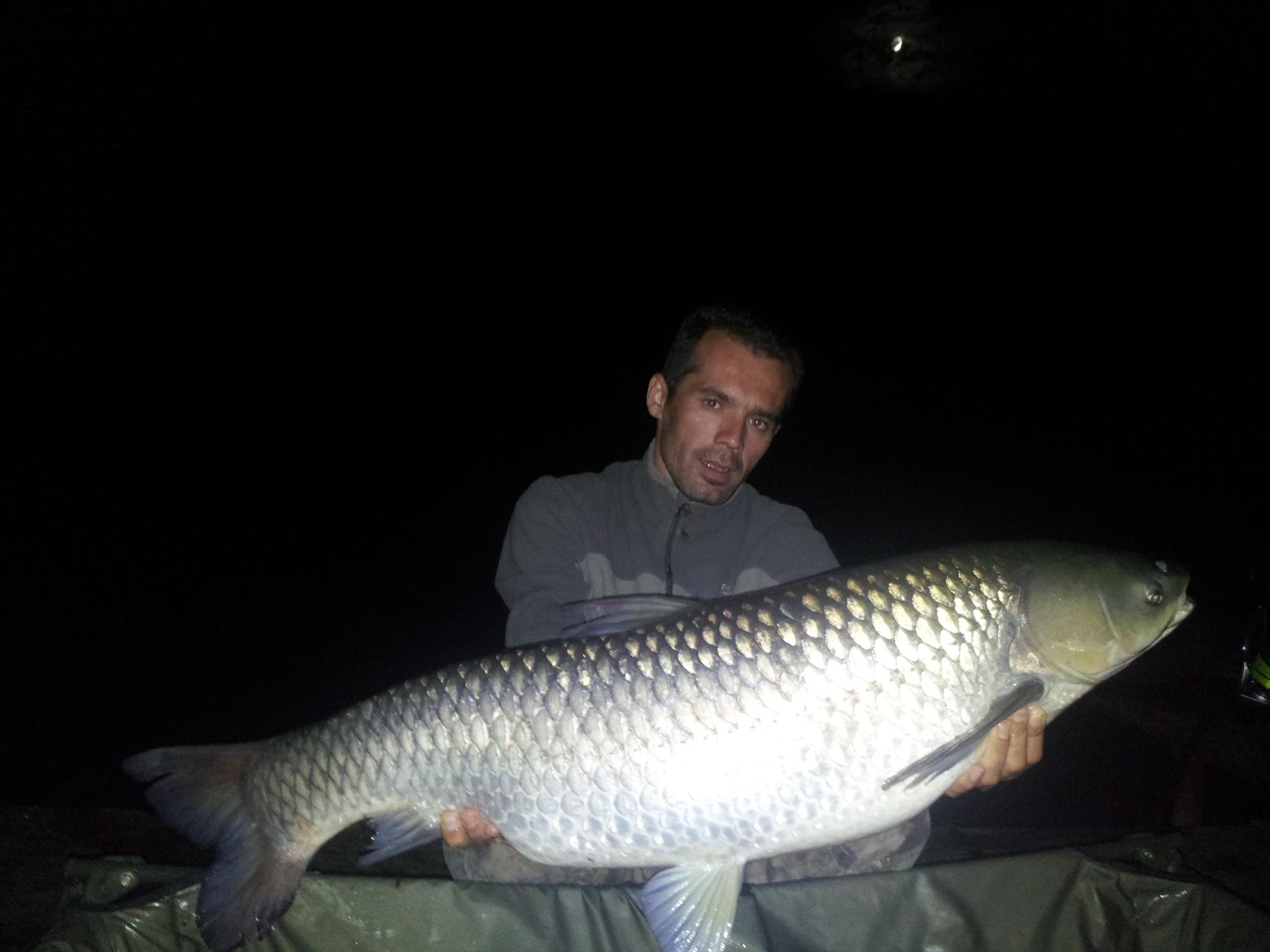 Tancabesti 31 august - 7 septembrie 2014 - 20140906004611.jpg